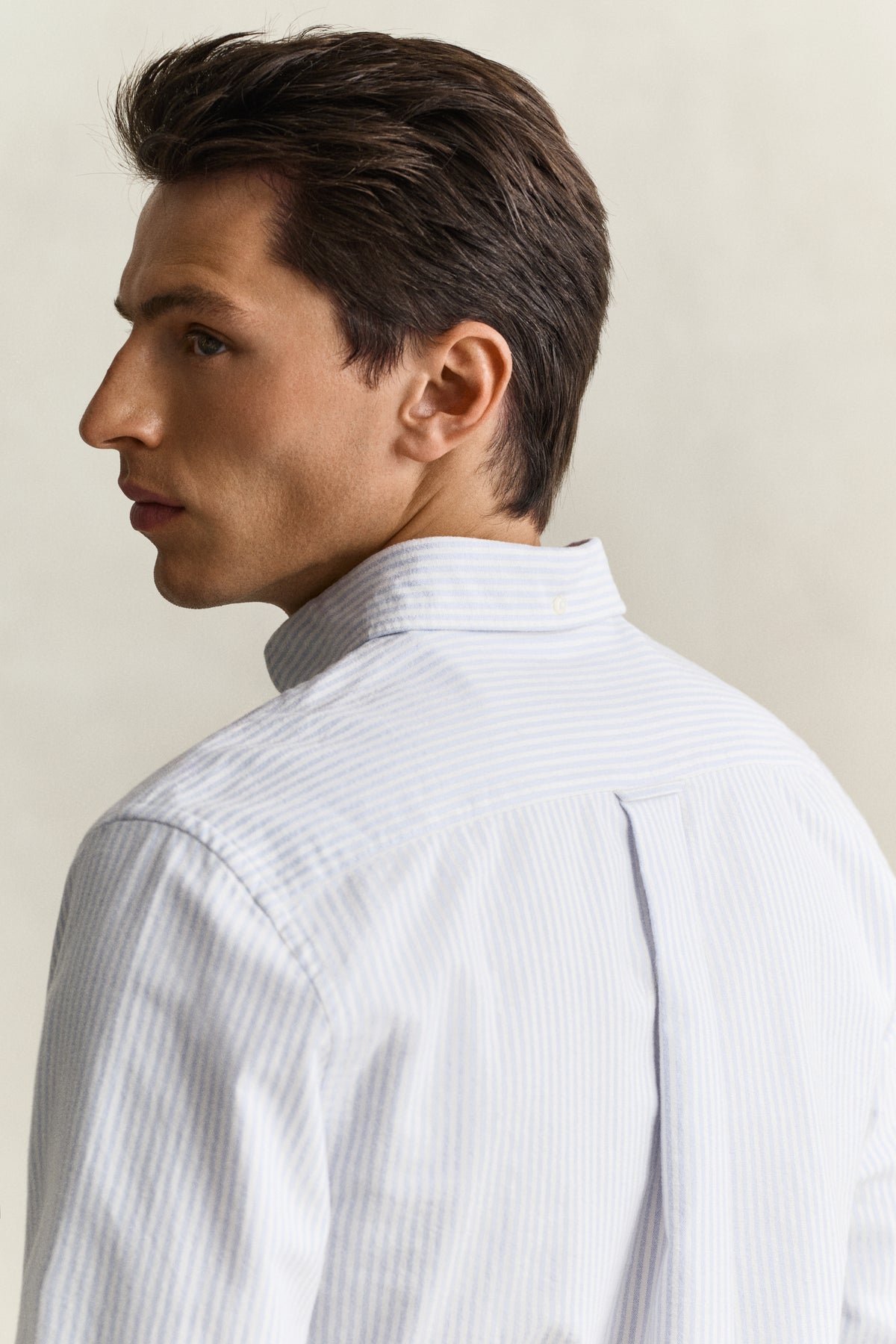 brushed oxford stripe