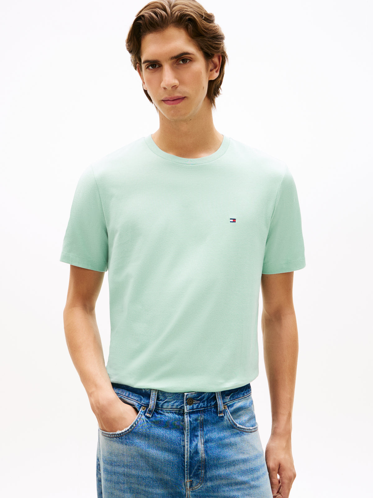 Tommy Hilfiger Flag Embroidery Crew Neck T-Shirt – Mint Green