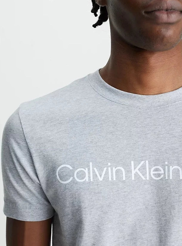 institutional logo slim tee